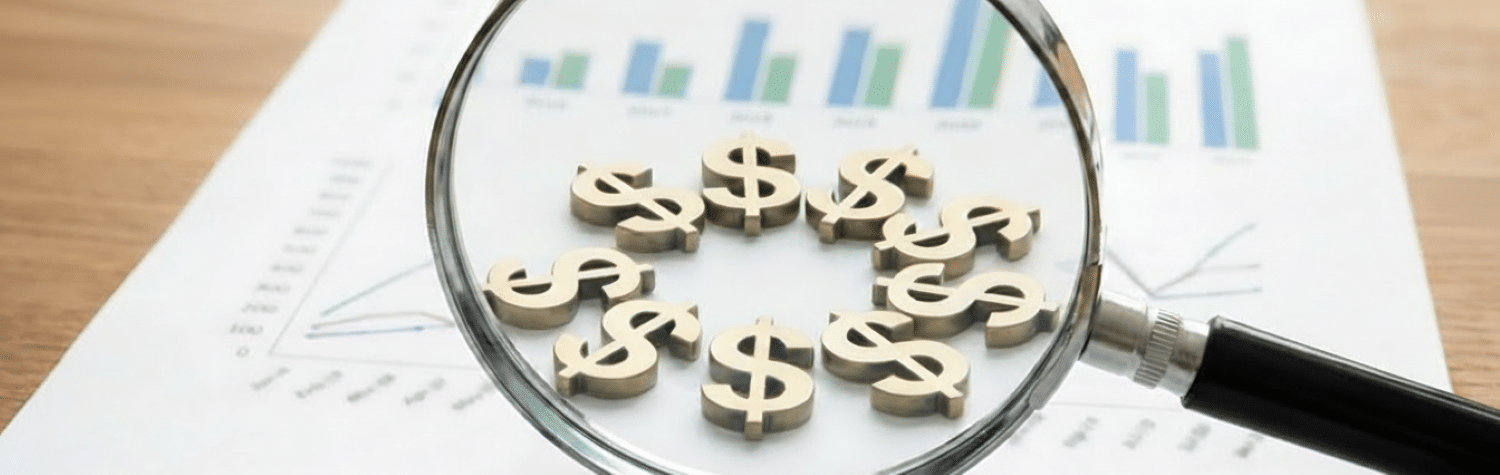 quality of earnings analysis for m&A deals